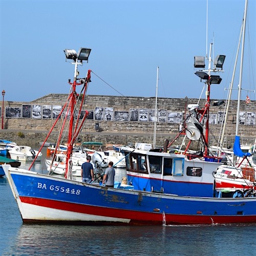 Philippe Avent, pêcheur à Saint-Jean-de-Luz