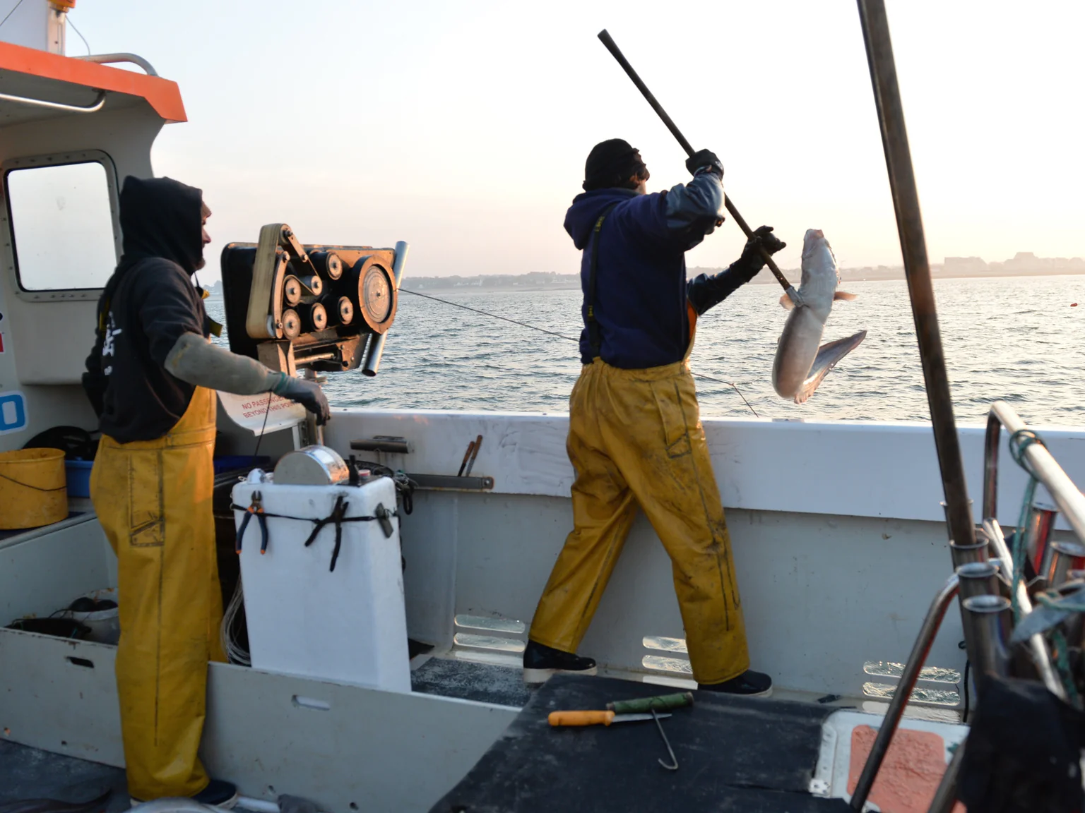 Nos valeureux pêcheurs qui s'activent au lever du soleil