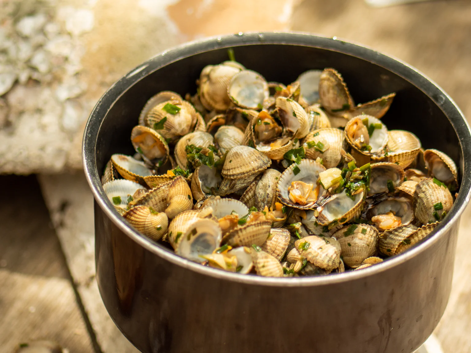 Appel à l'action - Abonnement - Casserole de coques