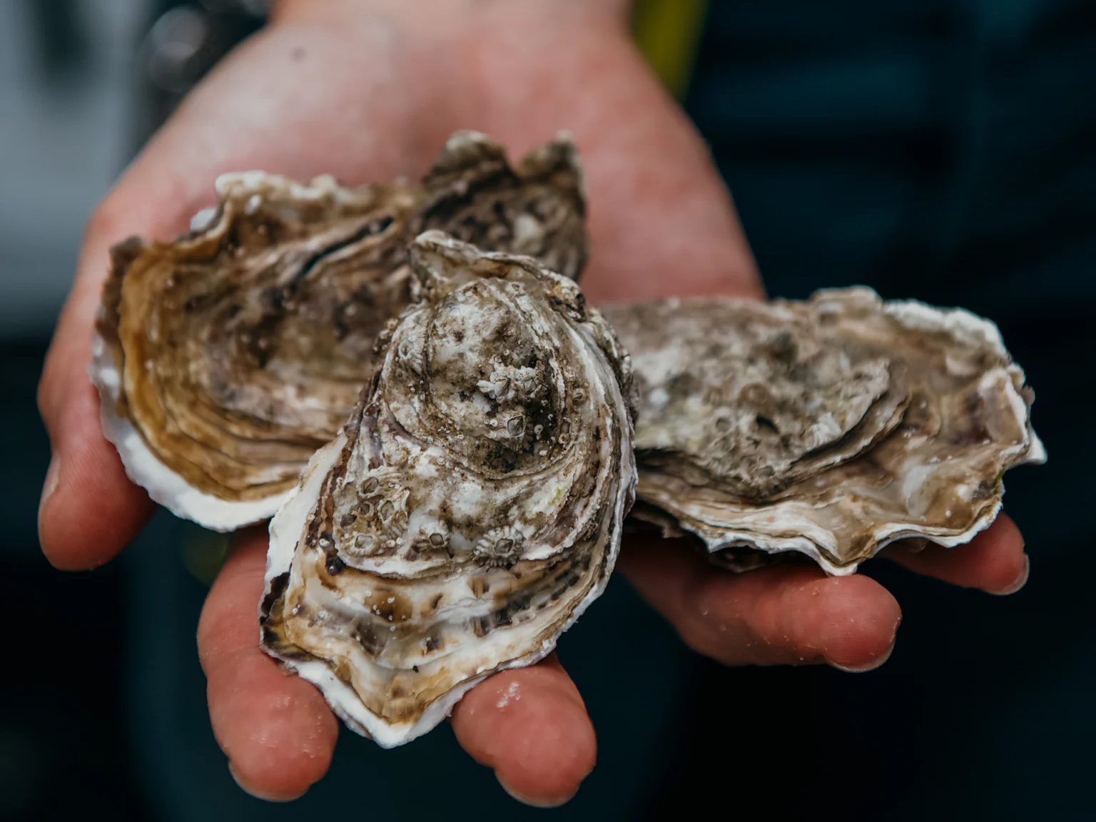 Appel à l'action - Abonnement - Environnement 5