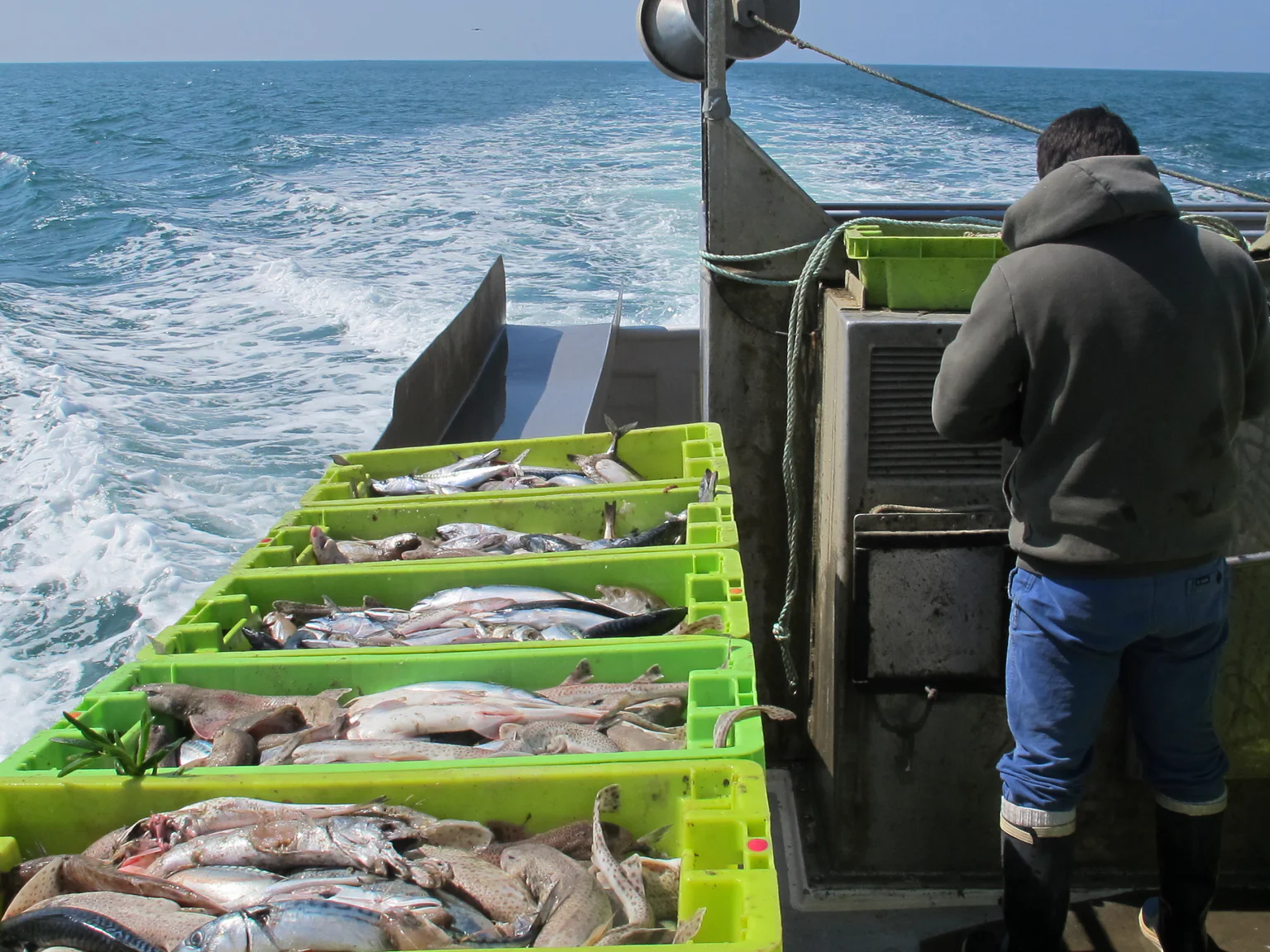 Appel à l'action - Abonnement - Pêcheur 2