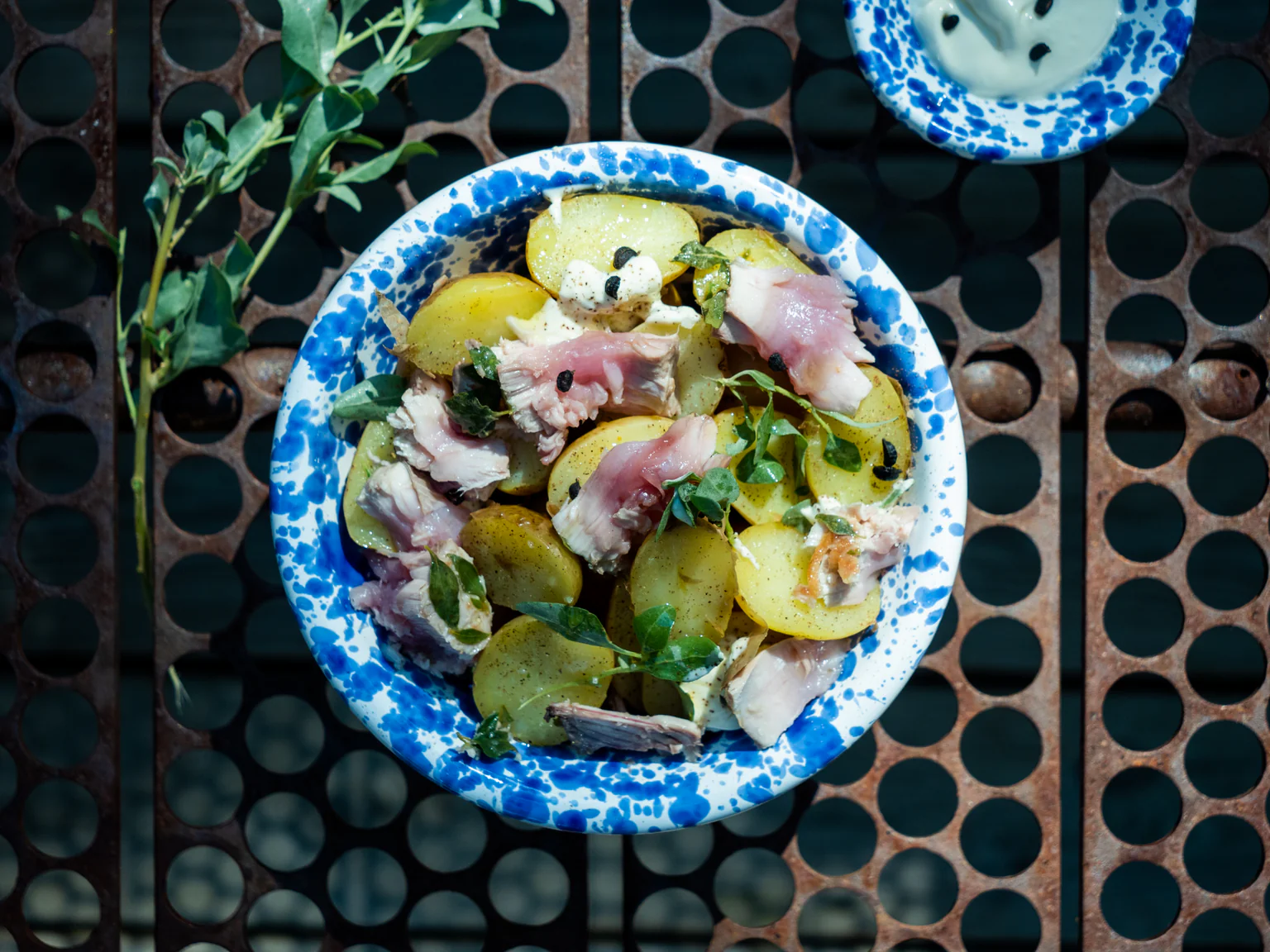 Proposer une recette de poisson, coquillages et crustacés