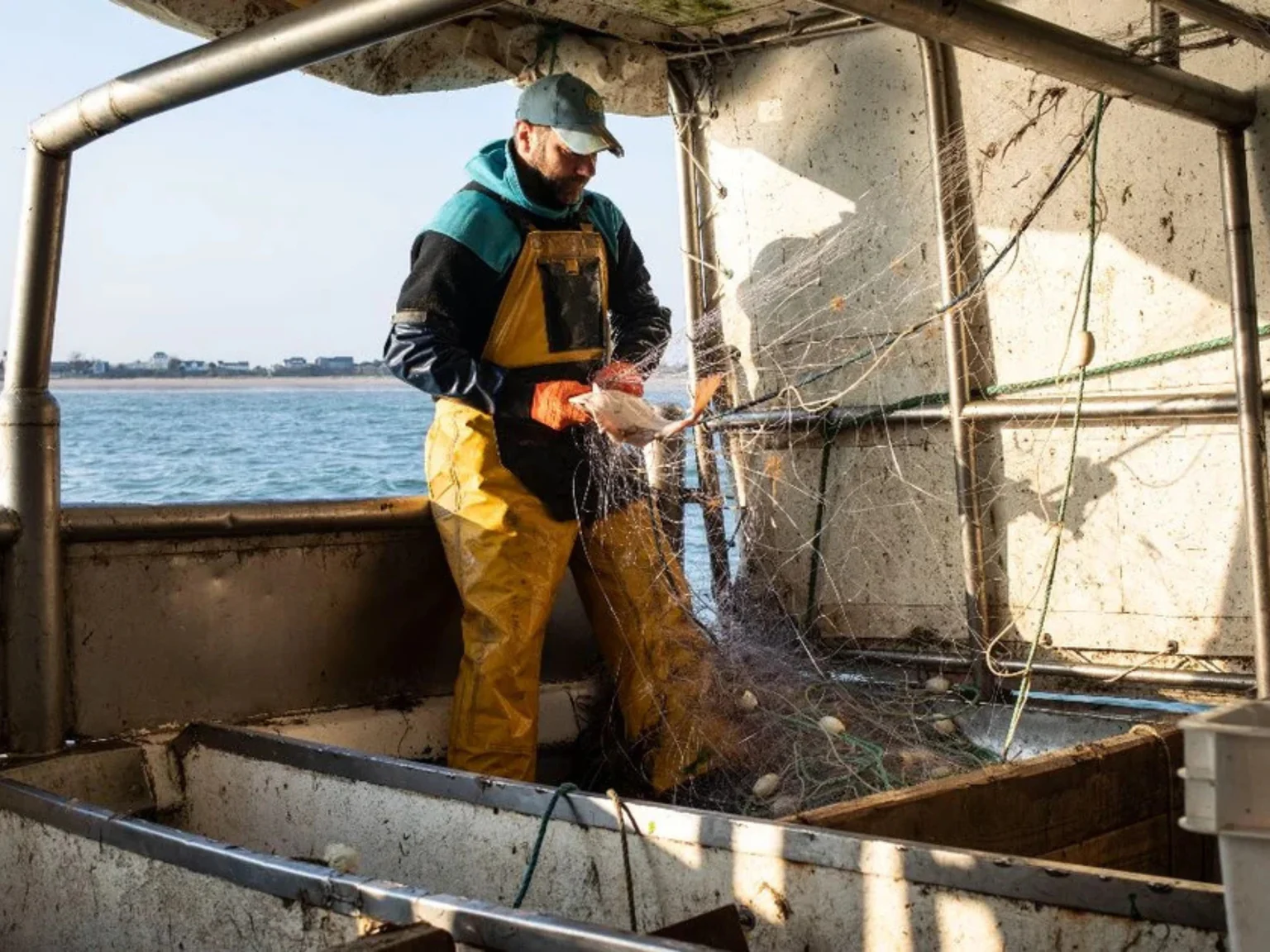 Allez, le printemps semble vouloir s'installer ! 