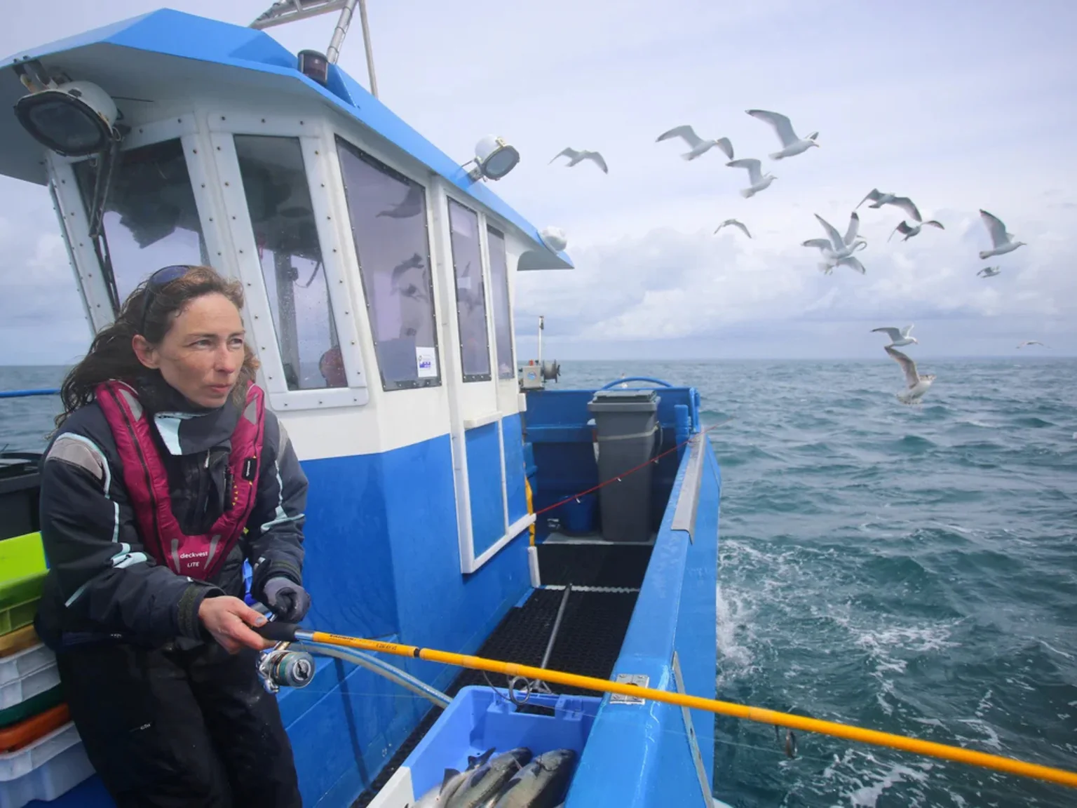 Ondine et Jean Denis Le Pape ont ferré de jolis lieus jaunes à l'abri de l'île de Ouessant.
