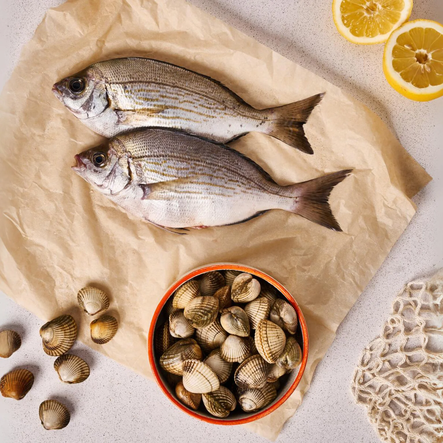 Casier type Poiscaille, dorades et coques