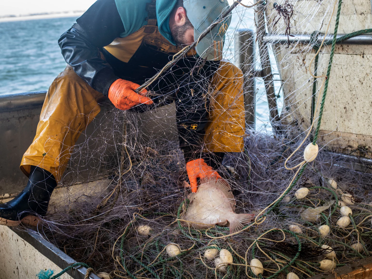 Petite pêche artisanale et cotière Poiscaille
