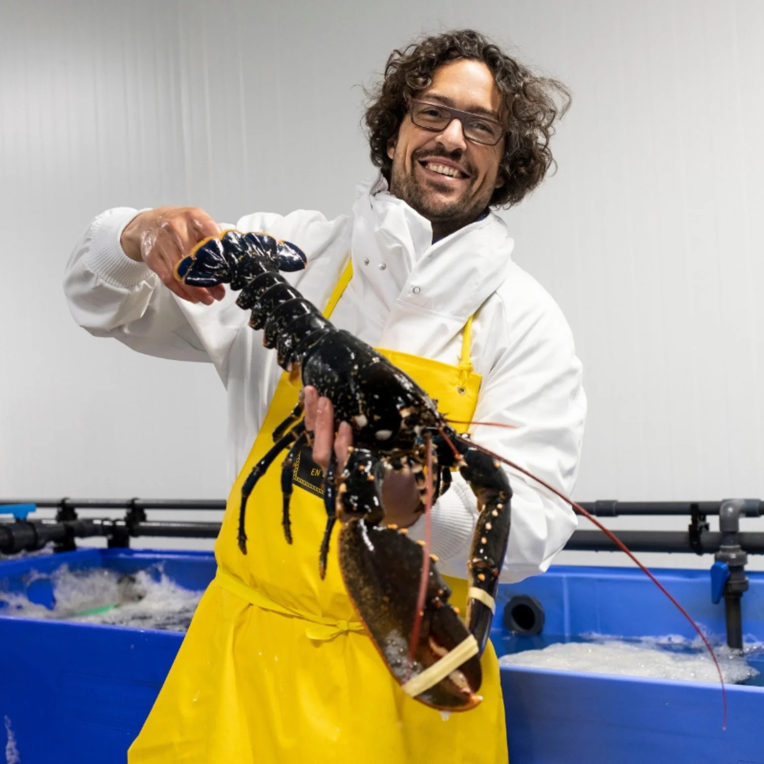On fait gagner un homard bleu pour la fête des mères