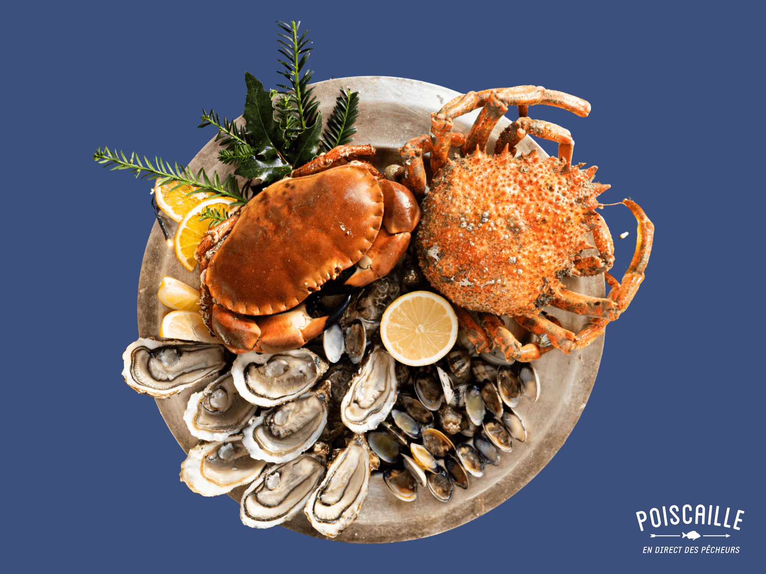 Photo plateau de fruits de mer article caméra cachée