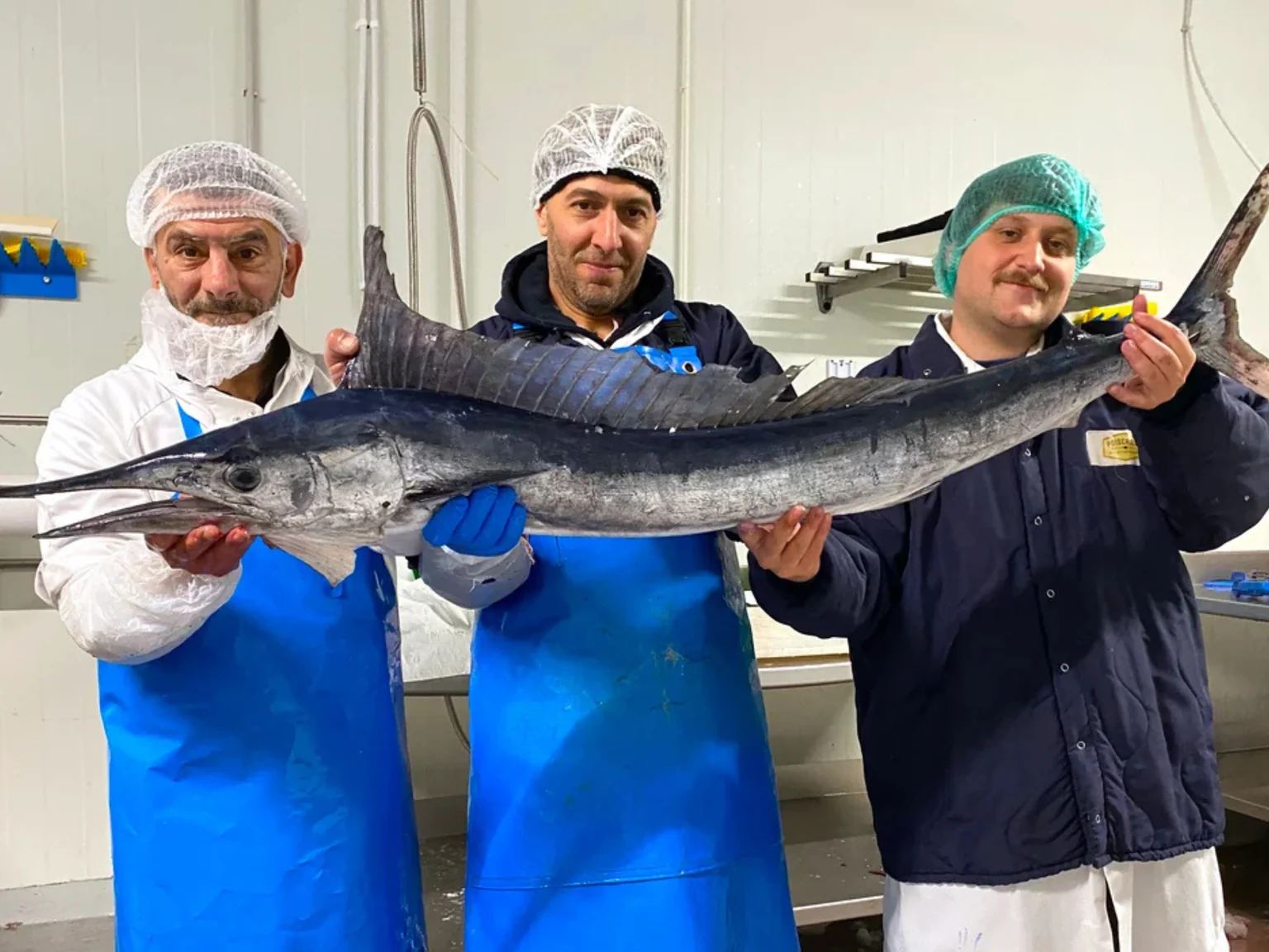 Un marlin de Méditerranée pêché par Olivier Ranc. Présenté par Anis et Ismail, fileteurs, et Thomas, acheteur