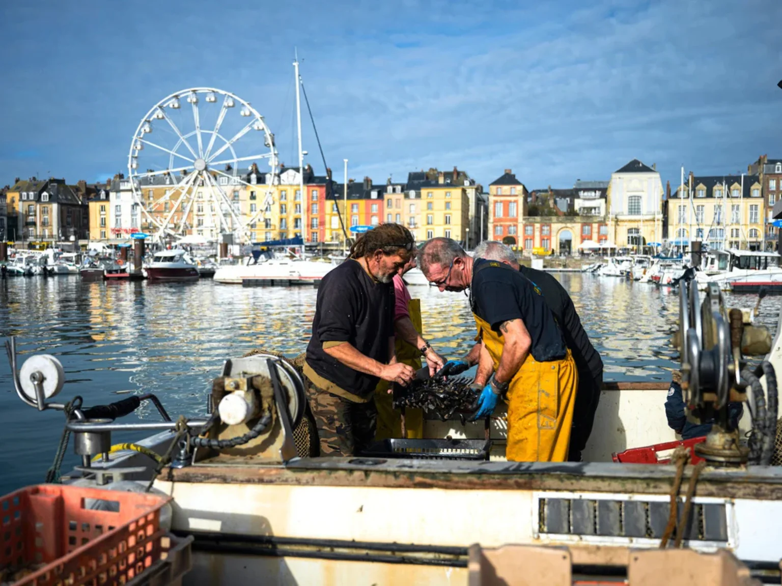 A Dieppe, Bruno Guédon et Jean Luc Brunet nettoient les moules au retour de la collecte. Photo Mary-Lou Mauricio