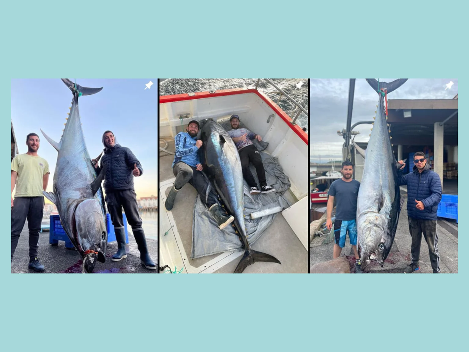 Photos de pêcheur de thon rouge février 2025