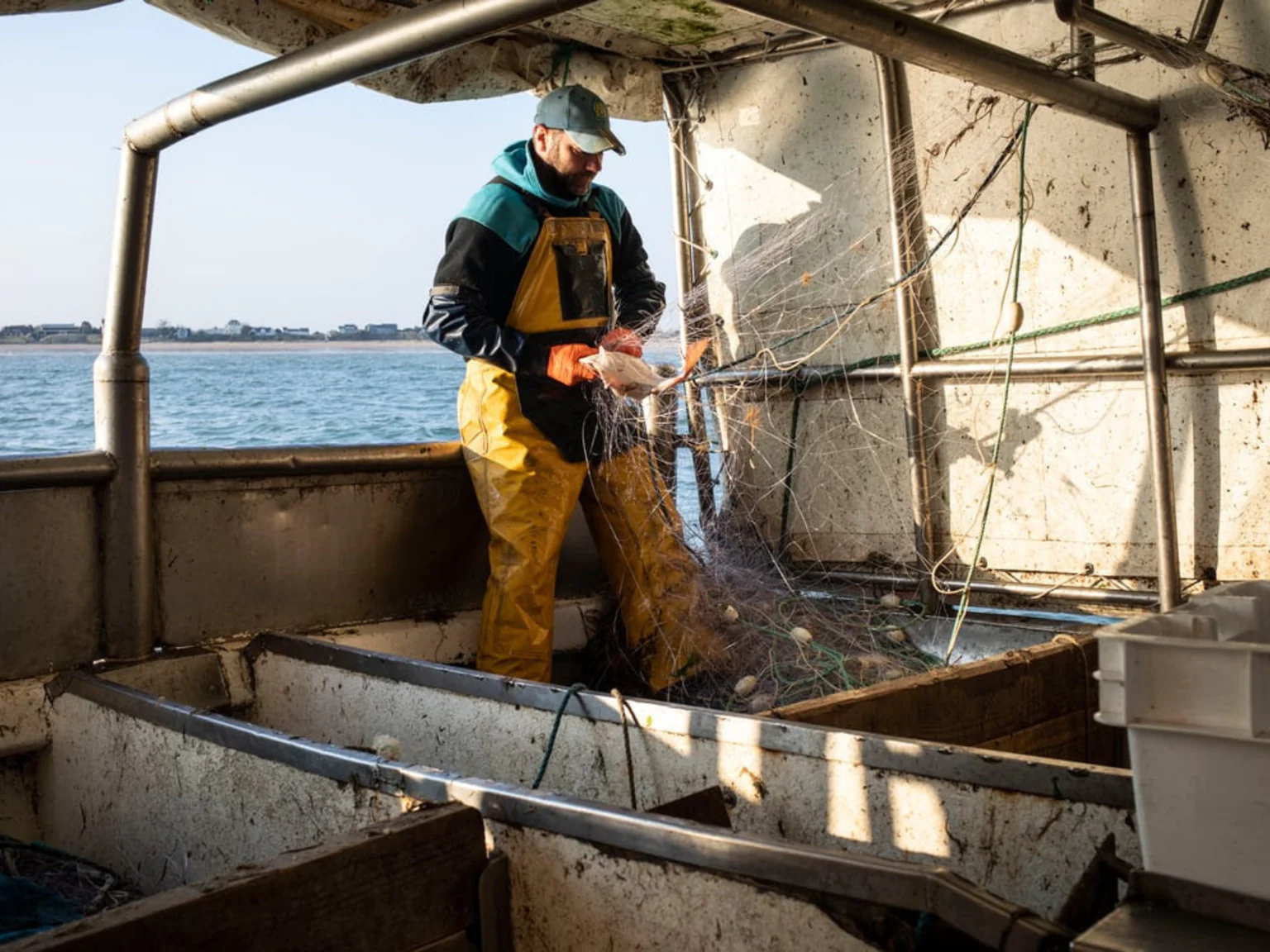 Photo d'un pêcheur qui enlève le poisson du filet.