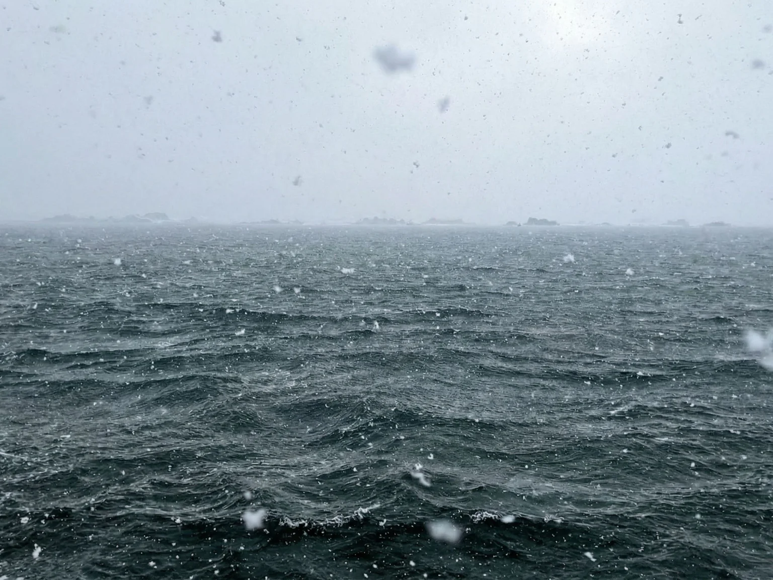 La carte cadeau Poiscaille, plus forte que le parrainage