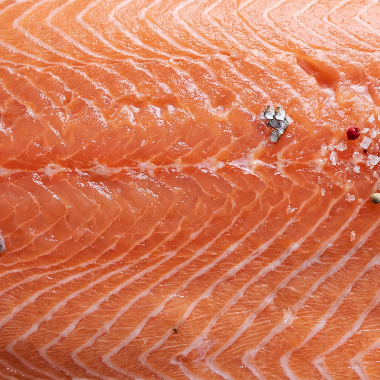 Un beau filet de saumon d'élevage norvégien