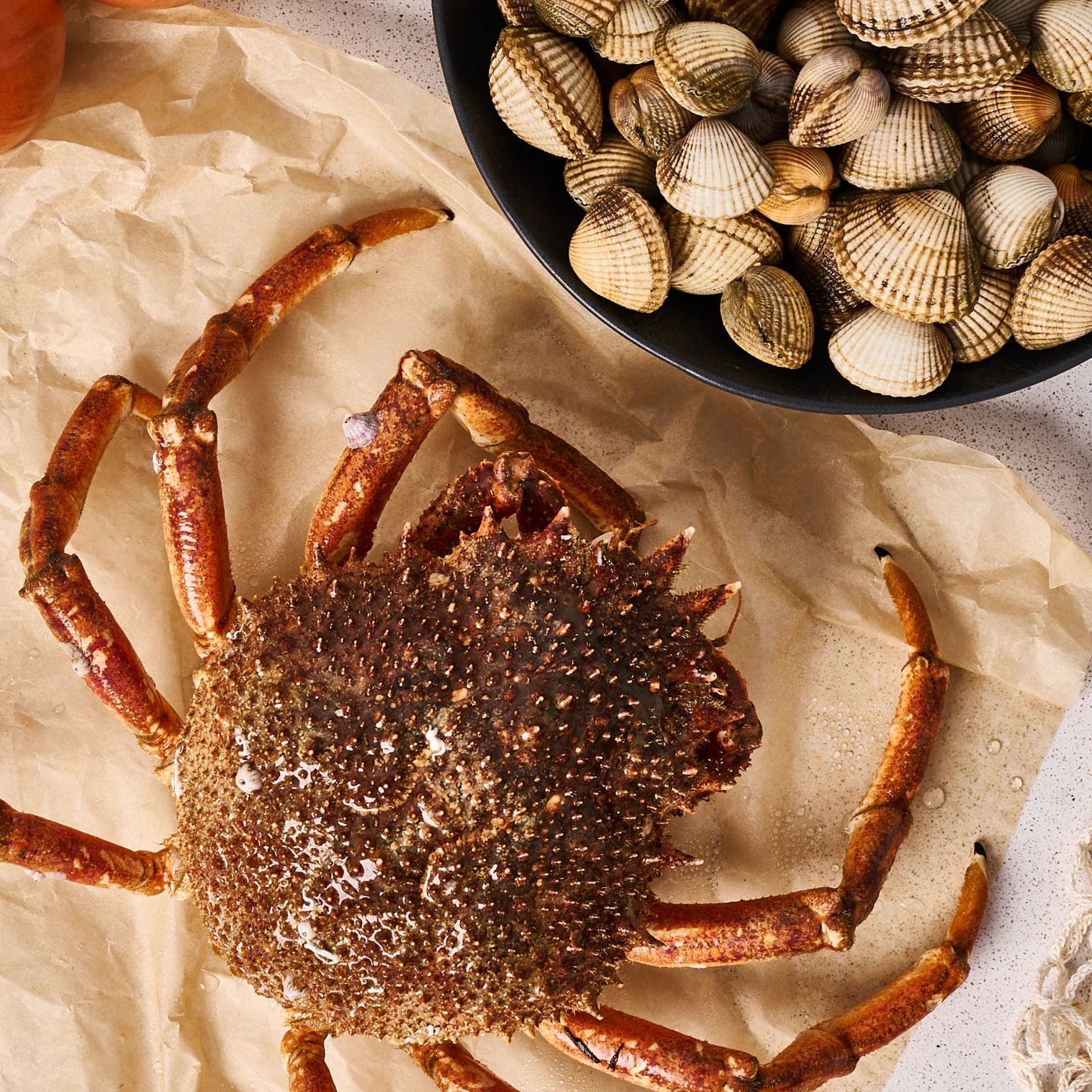 Un beau casier d'araignée de mer et coques