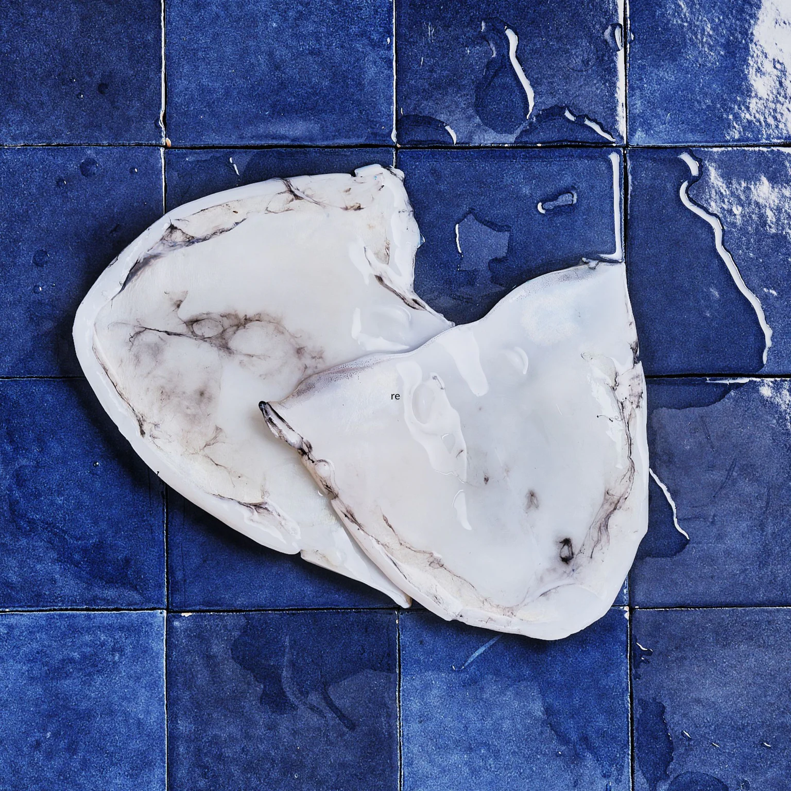 Conserver ses céphalopodes Poiscaille dans les meilleures conditions