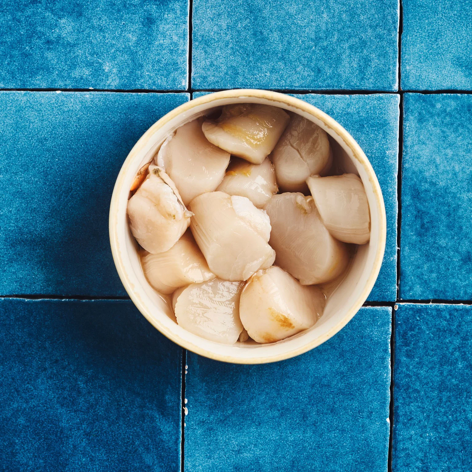 Comment bien conserver ses coquilles Saint-Jacques ?