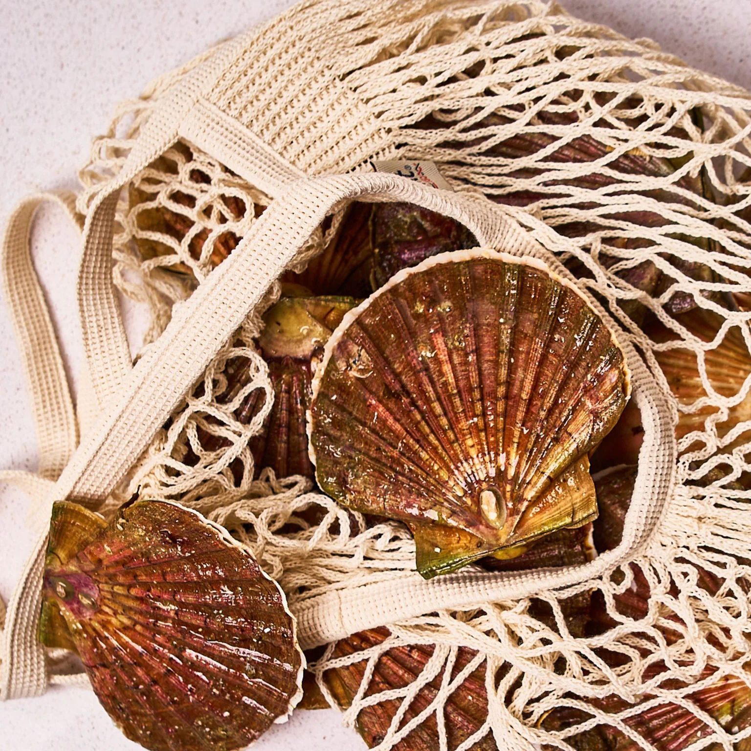 La coquille Saint-jacques cuisinée sous toutes ses formes avec Poiscaille. 