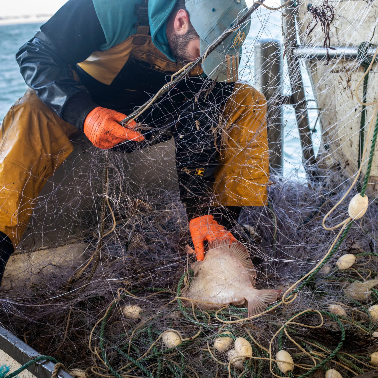 Pêcheur à la ligne du réseau Poiscaille.