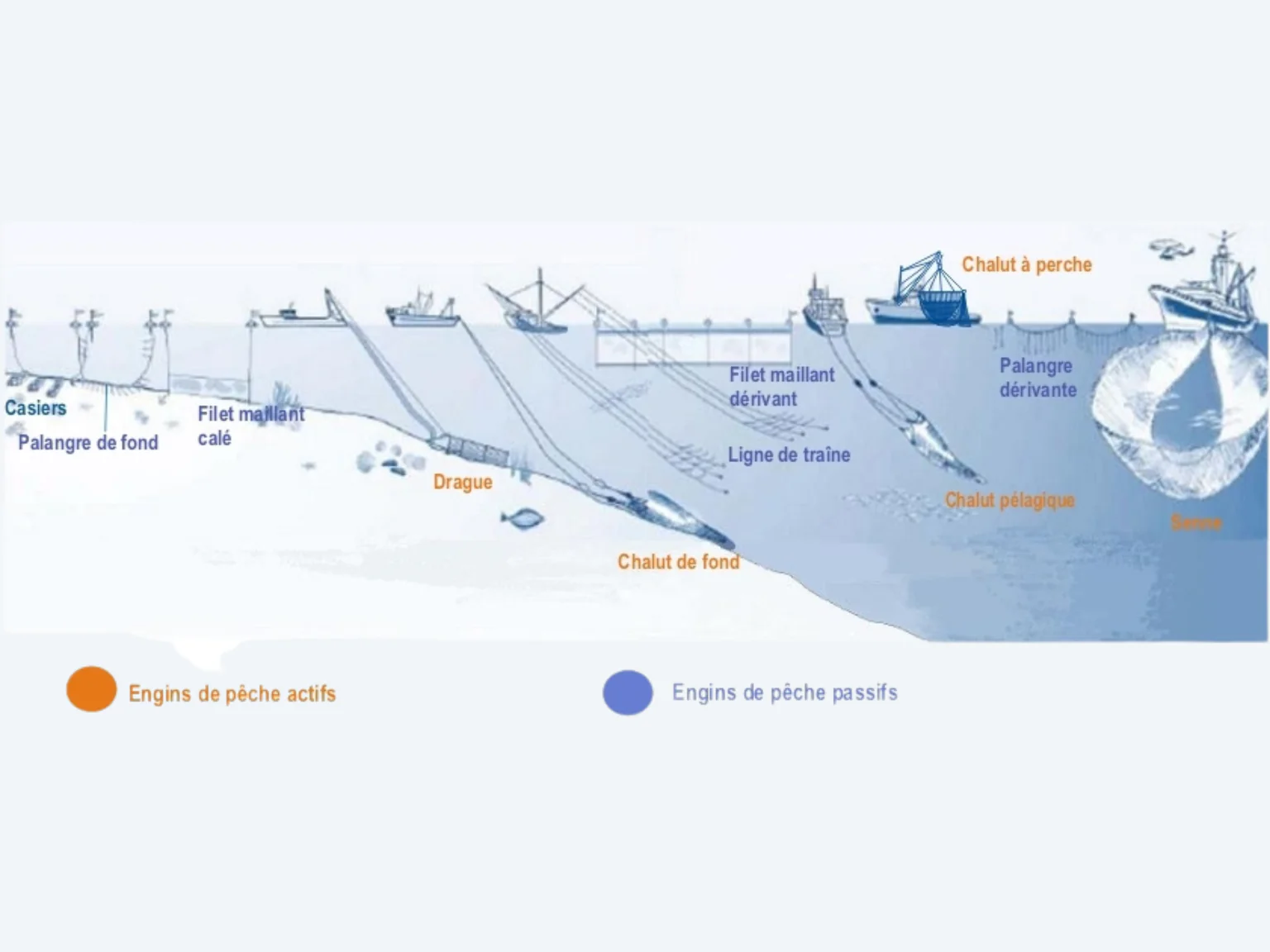 Fresque de l'IFREMER sur les techniques de pêche