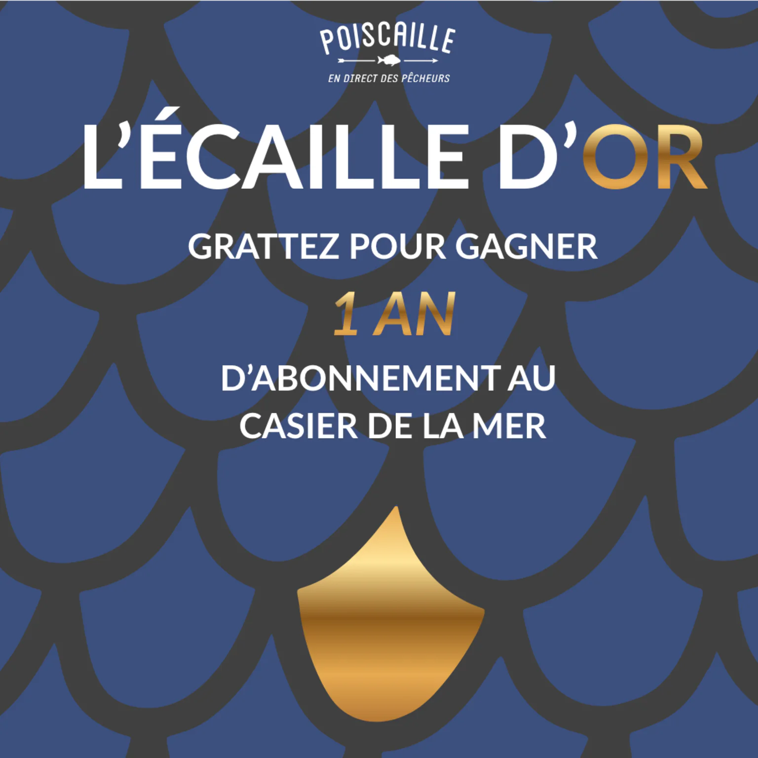 Visuel flyer du jeu de l'écaille d'or      
