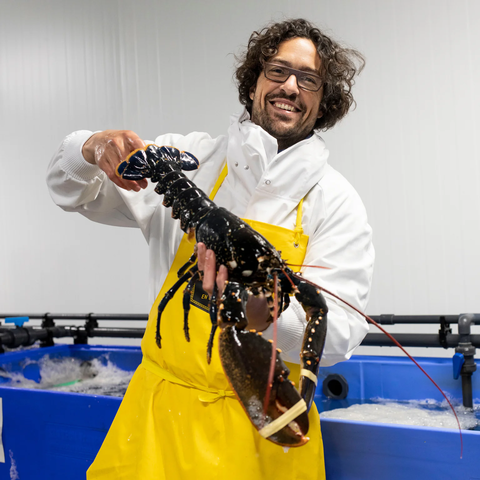 Charles Guirriec, fondateur de Poiscaille brandissant un homard bleu breton