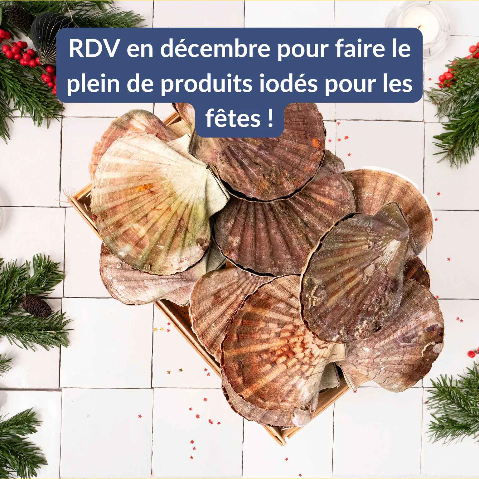 Image prochain challenge post sauvetage - focus noël