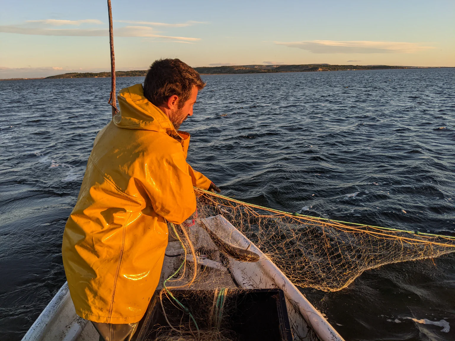 Photo d'un pêcheur au filet trémail sur étang