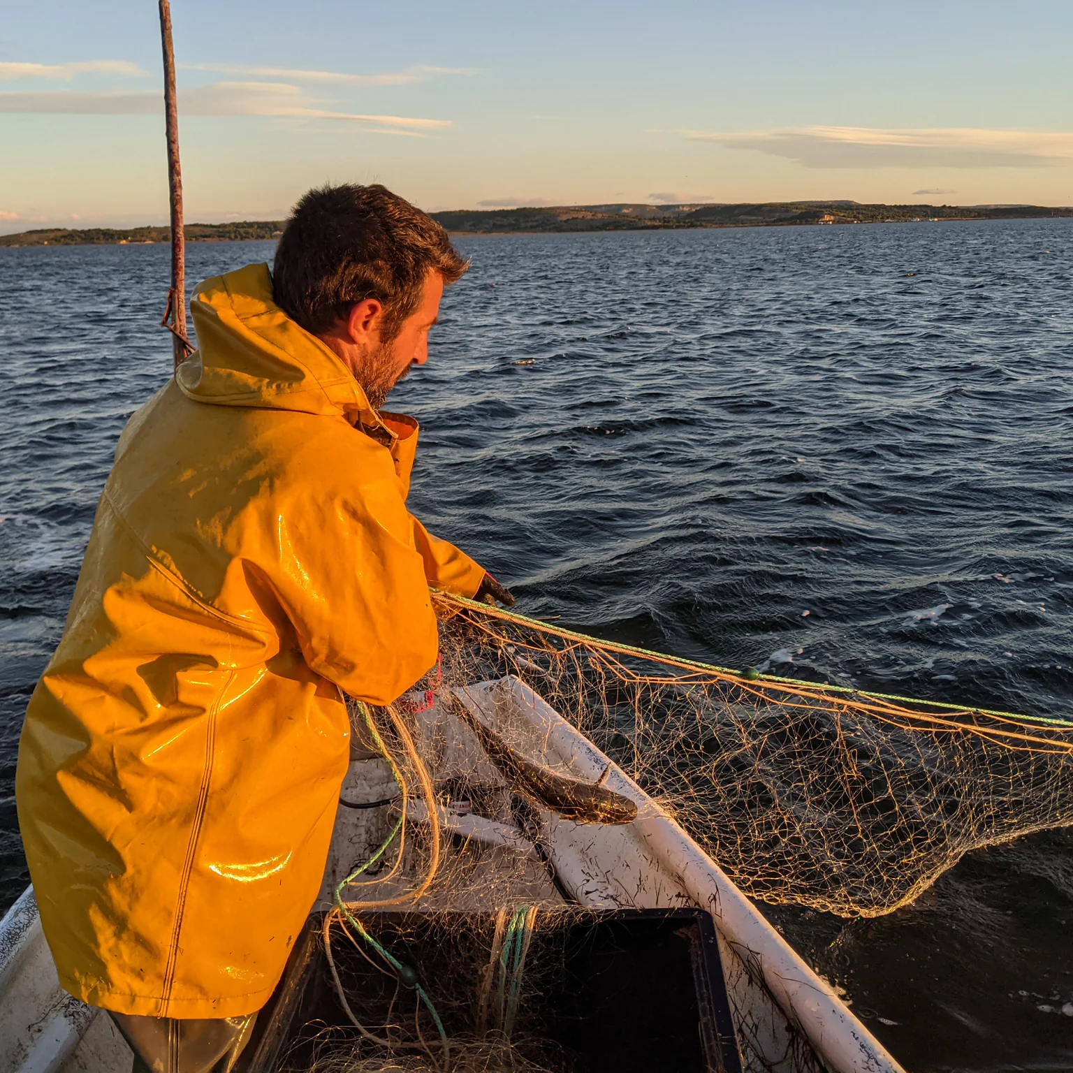 Photo d'un pêcheur au filet trémail sur étang