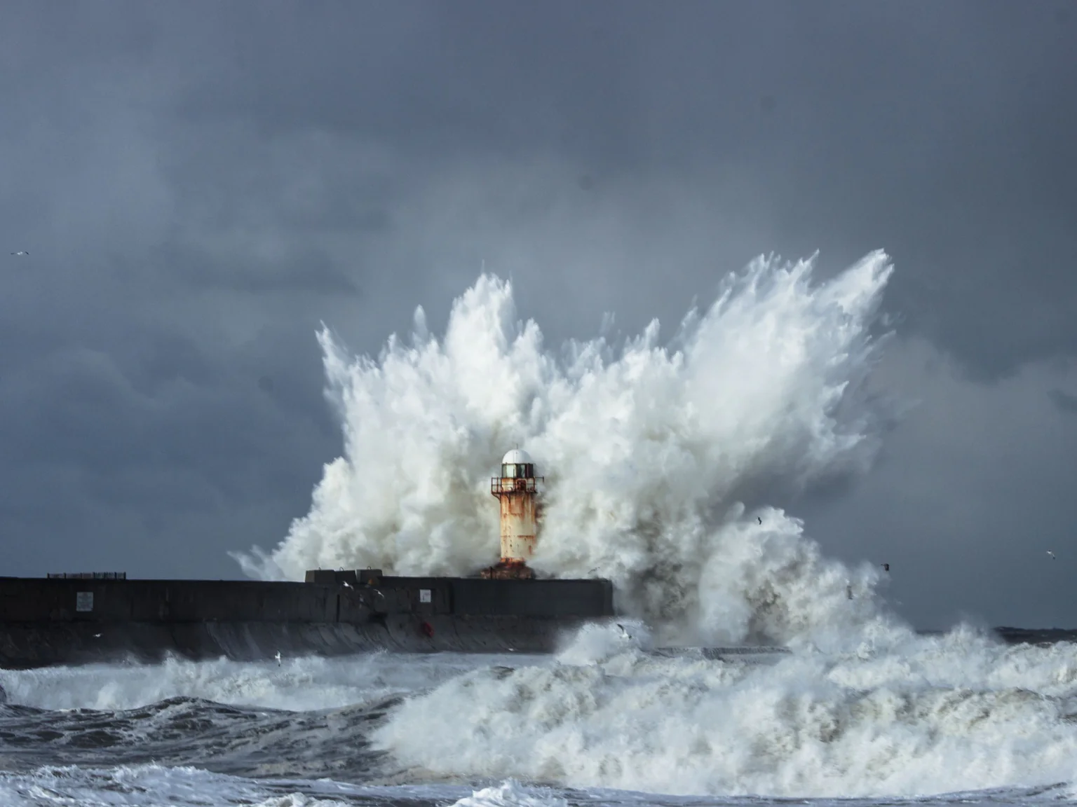 Tempête en mer chez Poiscaille au mois de janvier