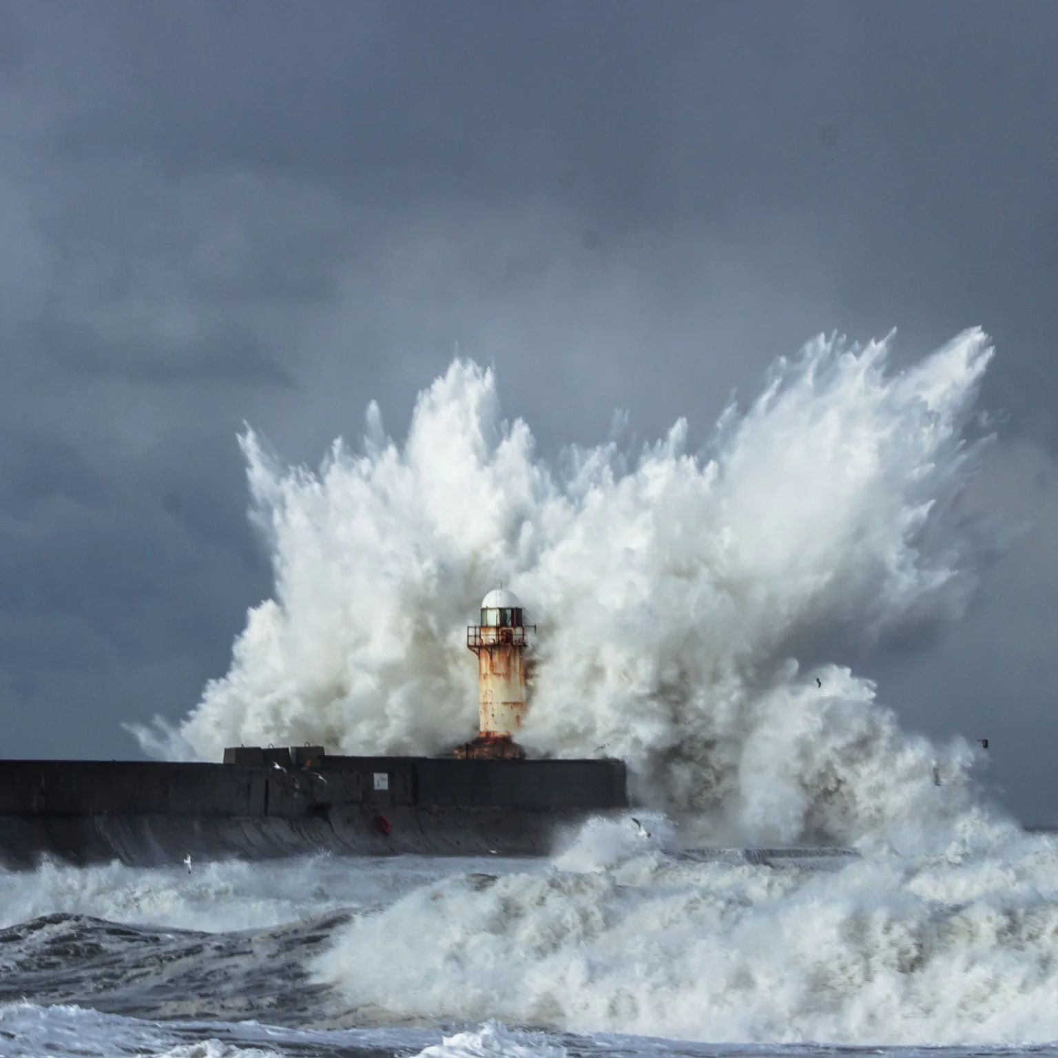 Tempête en mer chez Poiscaille au mois de janvier