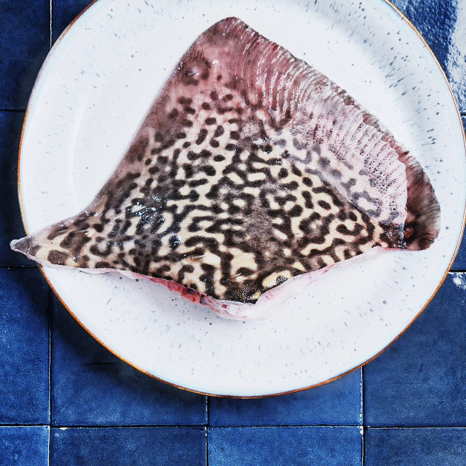 Image casier aile de raie 700g