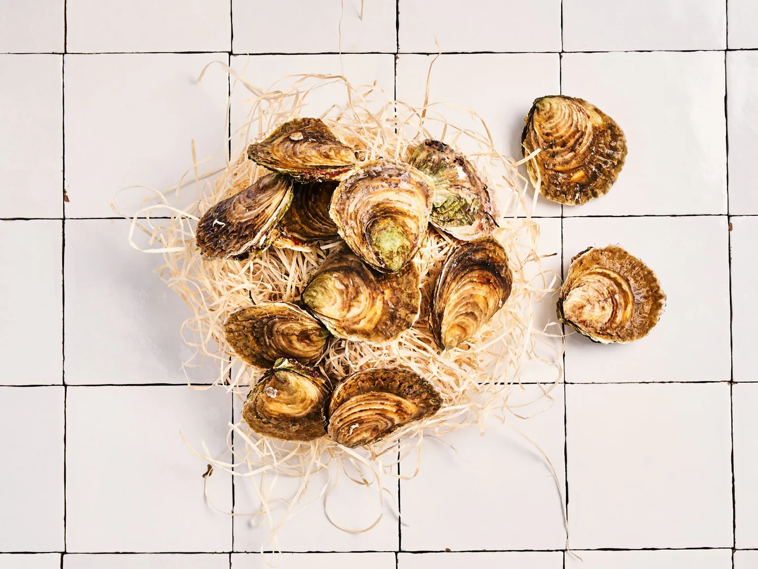 L'huître plate Poiscaille : qu'a-t-elle de si spécial ?