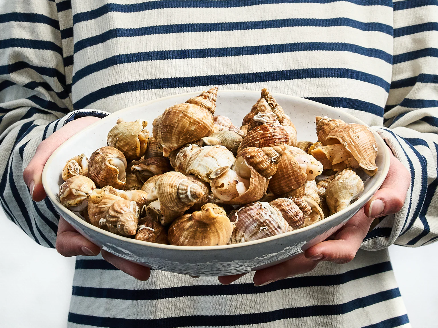 Bulot vivant pêché en durablement en france