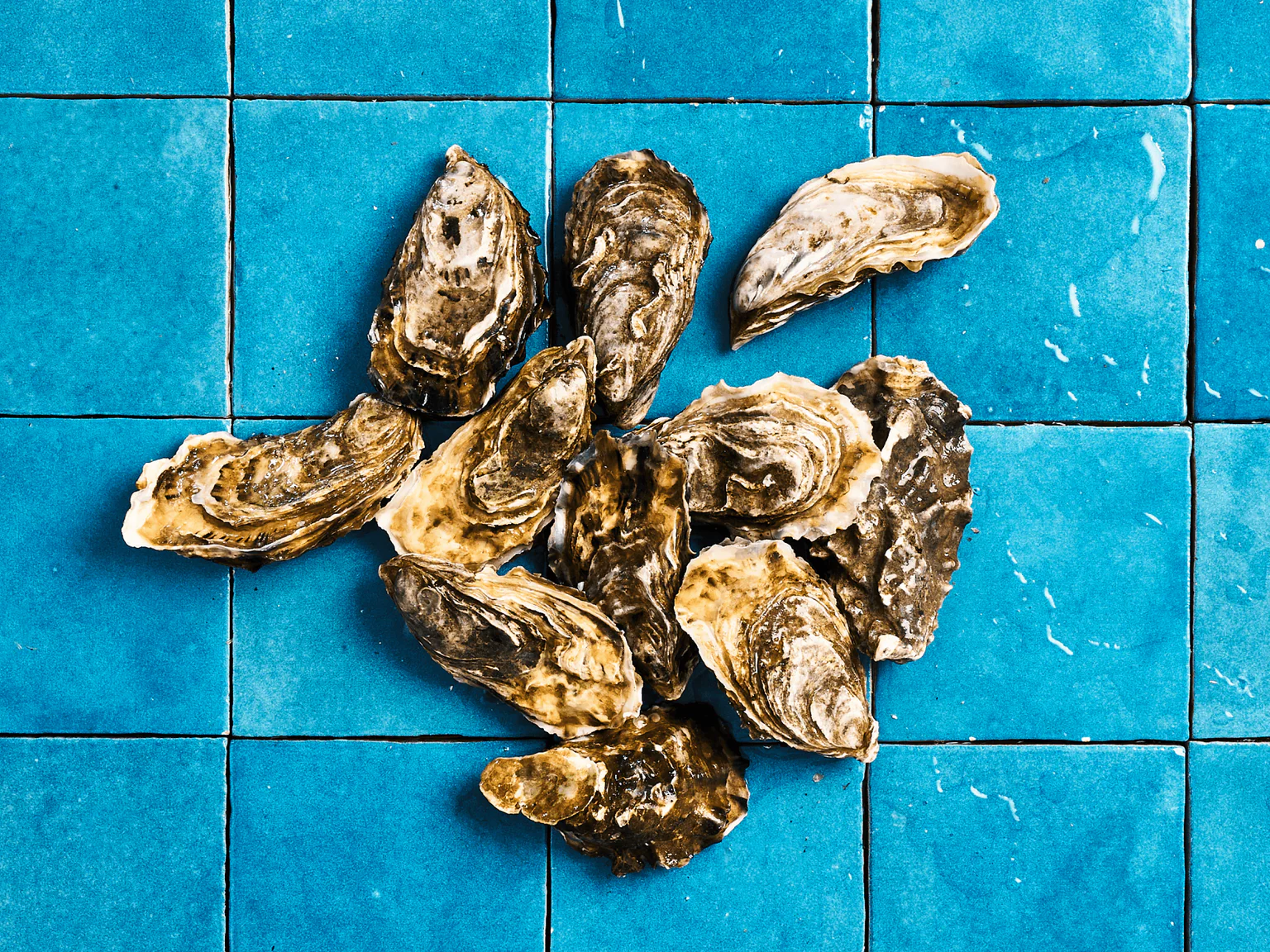 Huîtres naturelles, diploïdes, plates, creuses, n°3, n°4, quel casse-tête ! On vous epxlique tout.