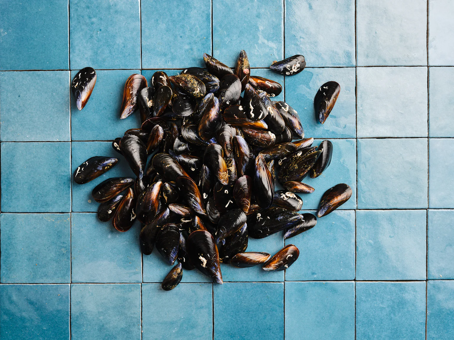 On en consomme plus de 100 000 tonnes par an, la plupart sont des moules de bouchot.