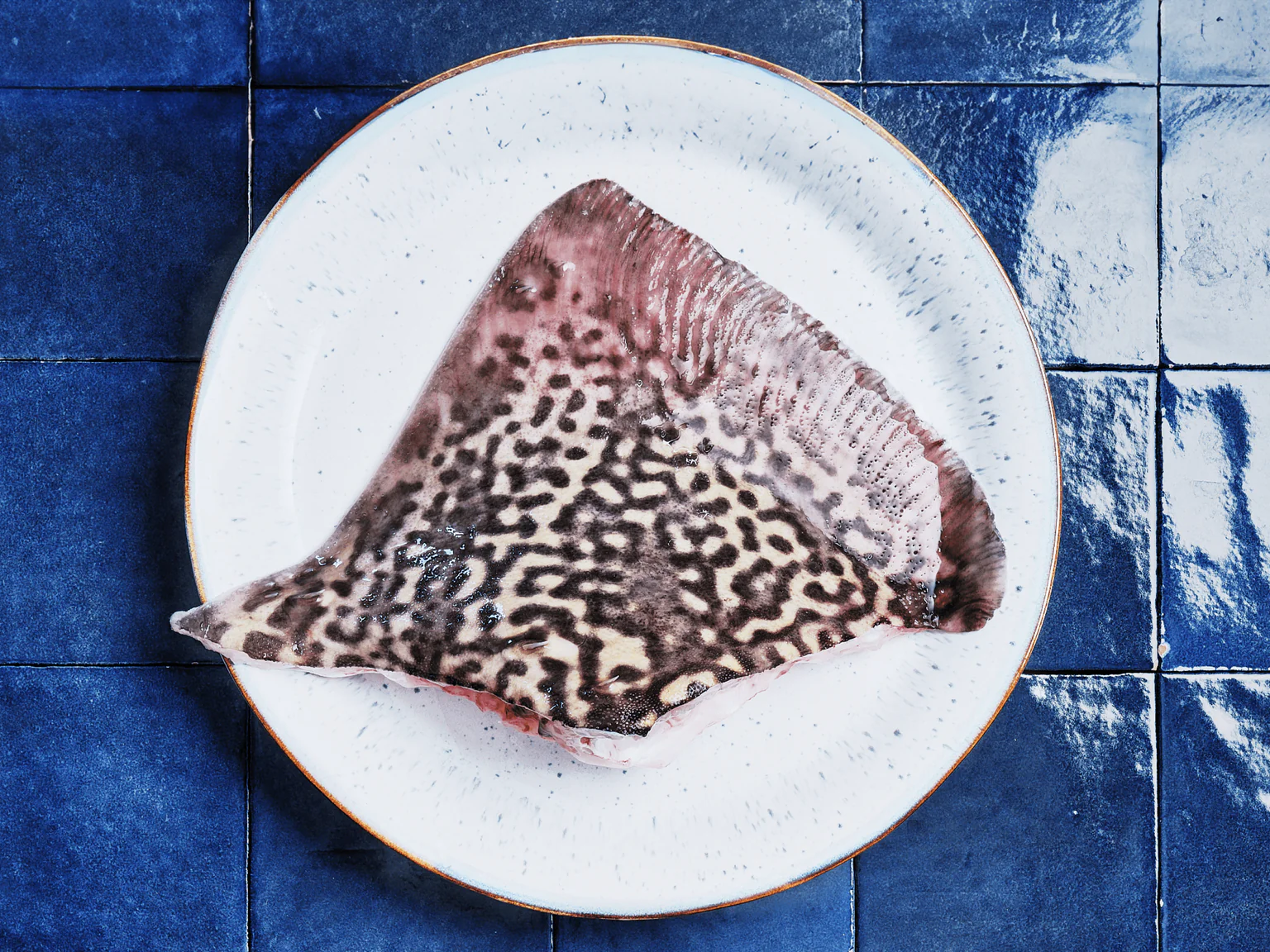 Aile de raie Poiscaille sur carreaux bleus 