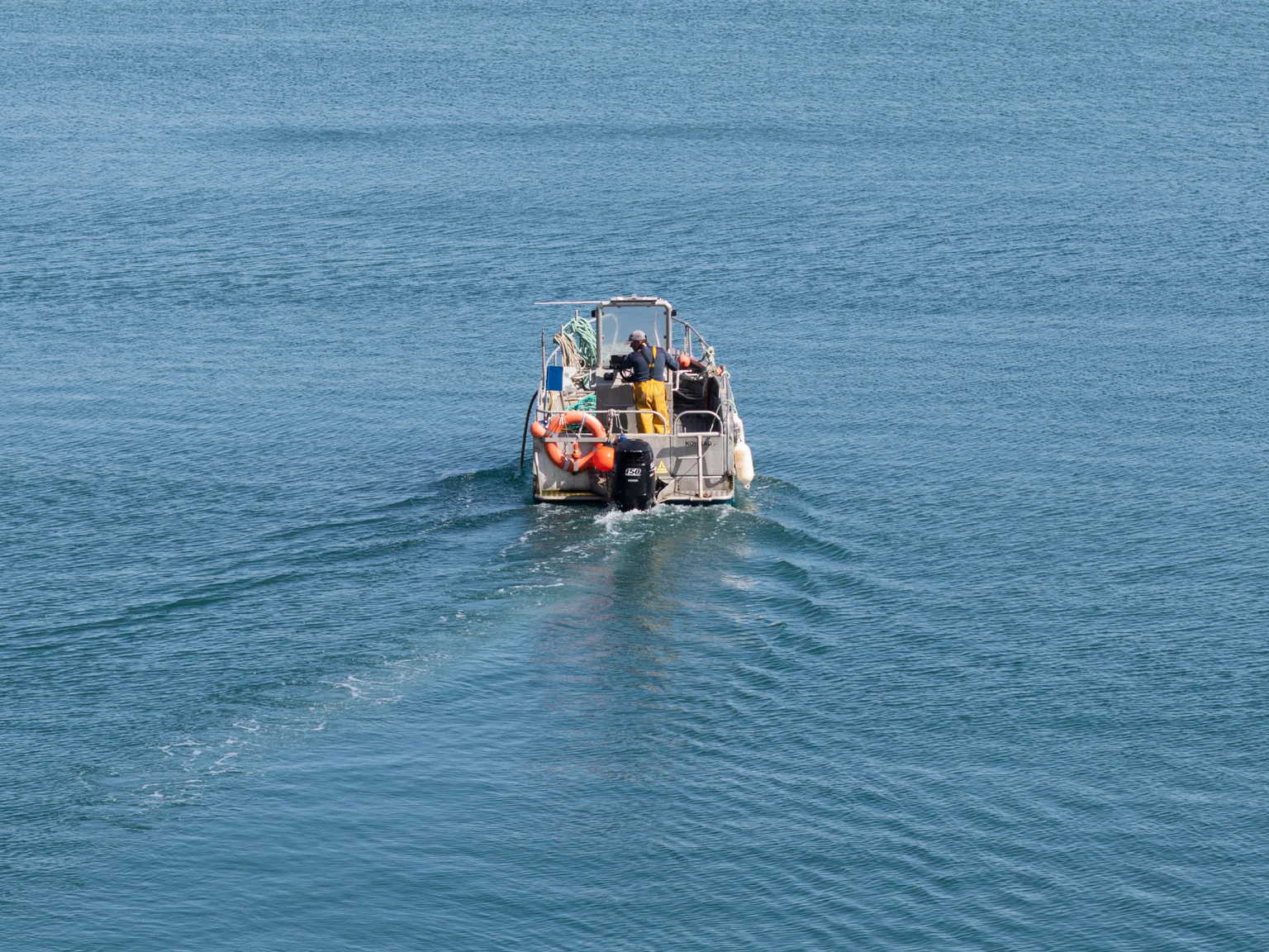 Blog Poiscaille : articles sur les produits de la mer