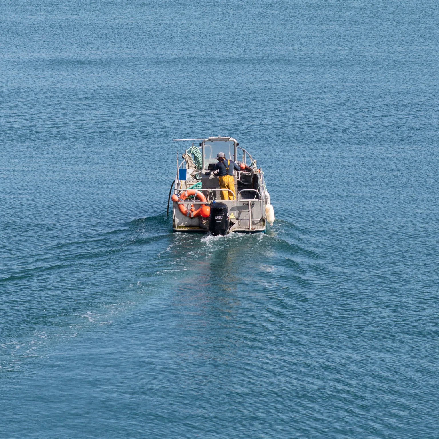Blog Poiscaille : articles sur les produits de la mer