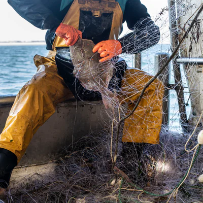 Les pêcheurs du réseau Poiscaille partagent notre vision de la durabilité.