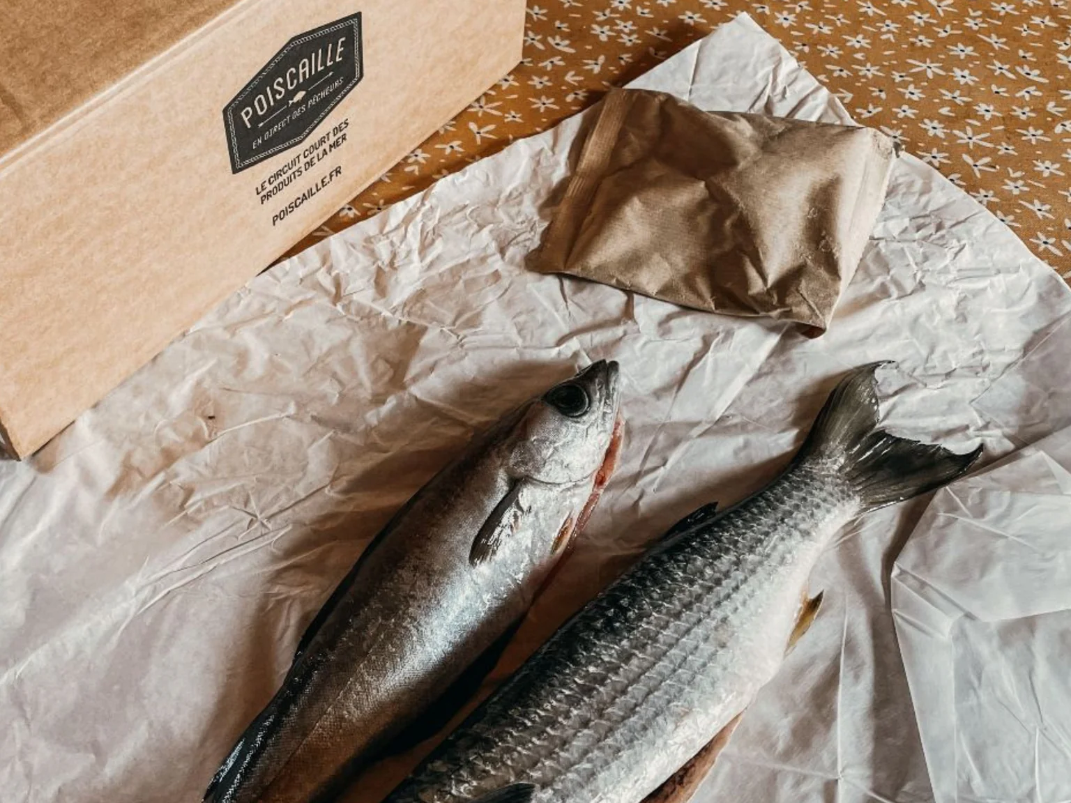 Poissons de la boutique et carton de livraison. 