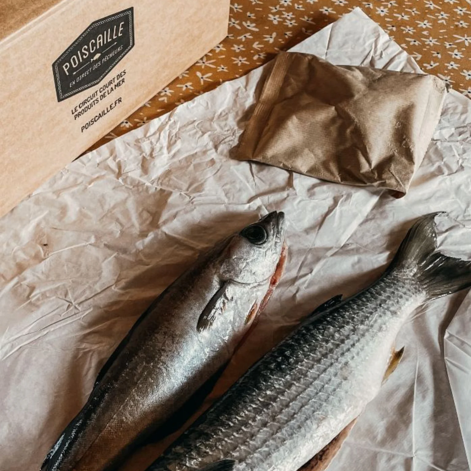 Poissons de la boutique et carton de livraison.