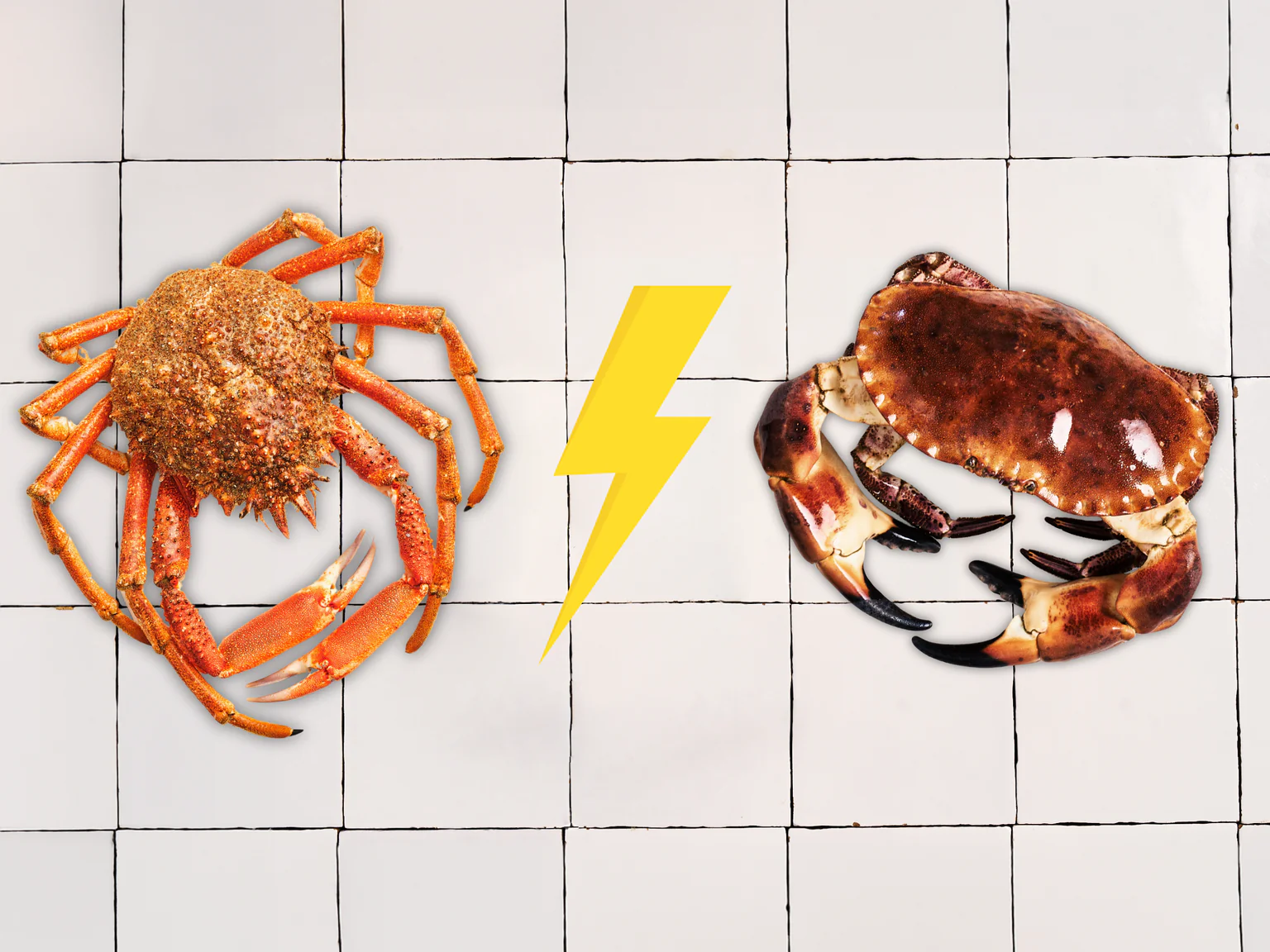 Crustacé à 4€ vs 12€ : saurez-vous les différencier ?