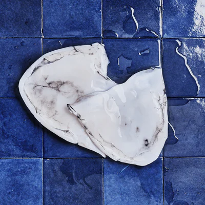 Blancs de seiche sur fond carrelage bleue