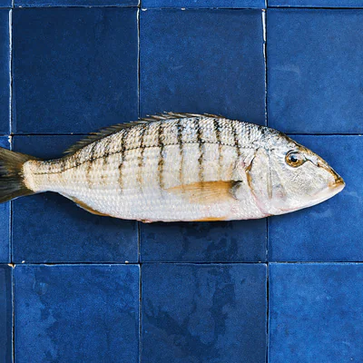 Une cousine gascone et zebrée de la dorade, avec une chair plus fondante. Bien congeler les filets 48h minimum pour u...