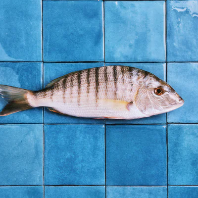 Une cousine gascone et zebrée de la dorade, avec une chair plus fondante. Bien congeler les filets 48h minimum pour u...