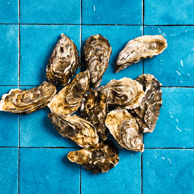 Huître creuses naturelles, ostréiculture traditionnelle, 1 douzaine.