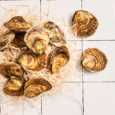 Huîtres plates sauvages 1 douzaine, ostréiculture traditionnelle. 