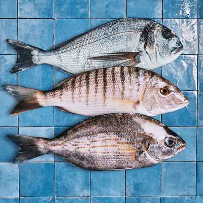 Image du lot de dorades grises, marbrées ou royales