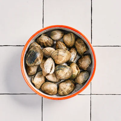 Palourdes Poiscaille pêchées à pied de manière durable
